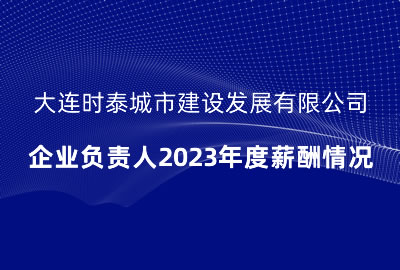 大連時泰城市建設發展有限公司 企業負責人2023年度薪酬情況 大連時泰城市建設發展有限公司 企業負責人2023年度薪酬情況